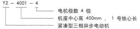 泰富西瑪Y系列三相異步電機(jī)型號(hào)說明